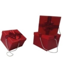 Coffret de cadeau vide Grand Modèle