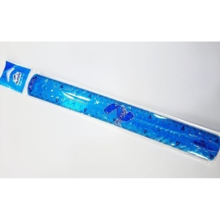REGLE FLEX 30 CM