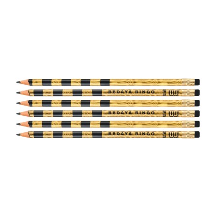 Crayons Métallisés