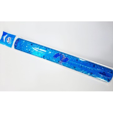 REGLE FLEX 30 CM